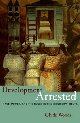 Development Arrested: The Blues and Plantation Power in the Mississippi Delta - Woods, Clyde