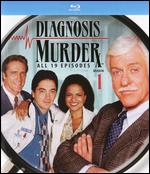 Diagnosis Murder: Season 01 - 