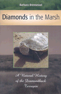 Diamonds in the Marsh: A Natural History of the Diamondback Terrapin - Brennessel, Barbara