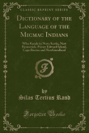 Dictionary of the Language of the Micmac Indians: Who Reside in Nova Scotia, New Brunswick, Prince Edward Island, Cape Breton and Newfoundland (Classic Reprint)