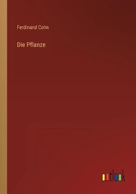 Die Pflanze - Cohn, Ferdinand