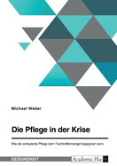 Die Pflege in der Krise. Wie die ambulante Pflege dem Fachkr?ftemangel begegnen kann