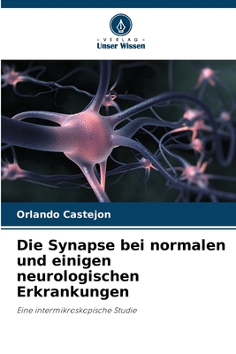 Die Synapse bei normalen und einigen neurologischen Erkrankungen - Castejon, Orlando