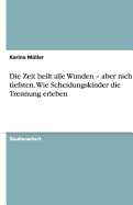 Die Zeit Heilt Alle Wunden - Aber Nicht Die Tiefsten. Wie Scheidungskinder Die Trennung Erleben