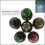 Dimensions in Ambience, Vol. 2