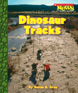 Dinosaur Tracks