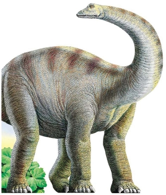 Diplodocus: Diplodocus - Lorini, Andrea, and Rigo, Laura (Illustrator)