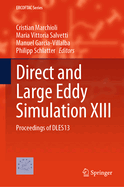 Direct and Large Eddy Simulation XIII: Proceedings of DLES13