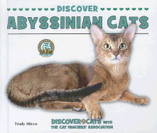 Discover Abyssinian Cats