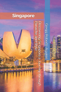 Discovering Singapore a Journey through Panache and Style