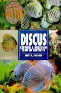 Discus, Keeping and Breeding