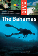 Dive the Bahamas: Complete Guide to Diving and Snorkelling