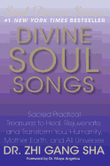 Divine Soul Songs