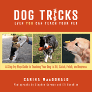 Dog Tricks Even You Can Teach Your Pet: A Step-By-Step Guide to Teaching Your Pet to Sit, Catch, Fetch, and Impress