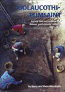 Dolaucothi-Pumsaint: Survey and Excavation at a Roman Gold-Mining Complex 1987-1999 - Burnham, Barry C, and Burnham, Helen