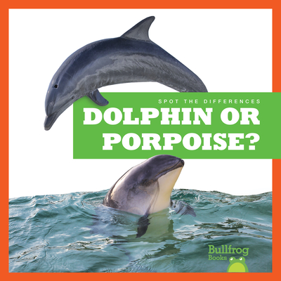 Dolphin or Porpoise? - Rice, Jamie