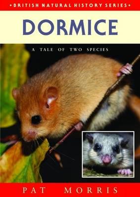 Dormice: A Tale of Two Species - Morris, Pat