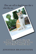 Dough Cats: Feline Characters Made from Modeling Material