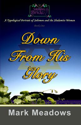 Down From His Glory: Solomon's Bride Volume One - Meadows, Mark