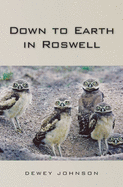 Down to Earth in Roswell