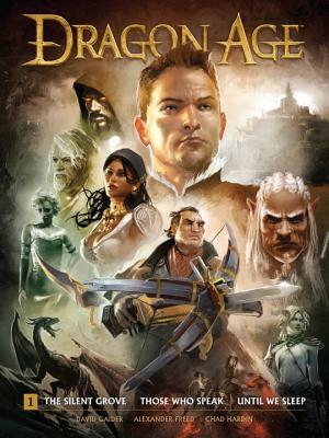 Dragon Age Library Edition Vol.1: The Silent Grove, Those Who Speak, Until We Sleep - Gaider, David