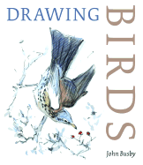 Drawing birds