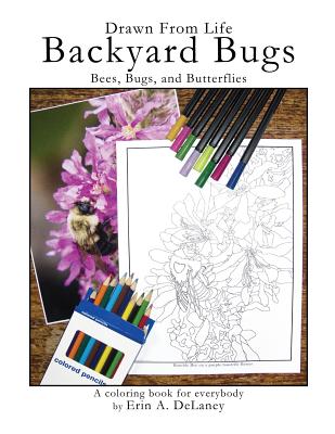 Drawn From Life Backyard Bugs: Bees, Bugs, and Butterflies - Delaney, Erin a