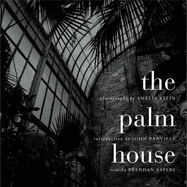 Dublin's Palm House