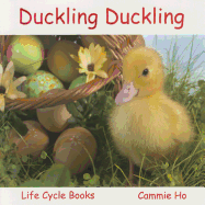 Duckling Duckling: Life Cycle Books