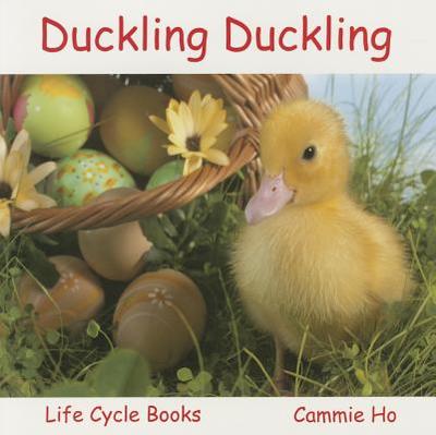 Duckling Duckling: Life Cycle Books - Ho, Cammie