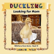 Duckling: Looking For Mom