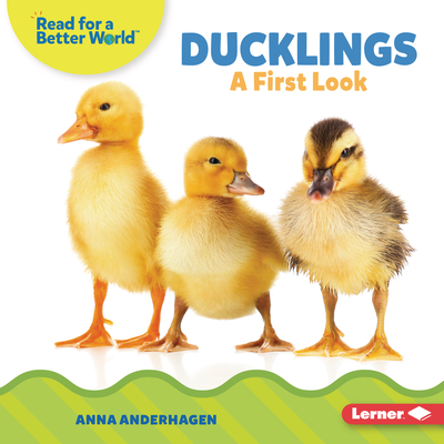 Ducklings: A First Look - Anderhagen, Anna