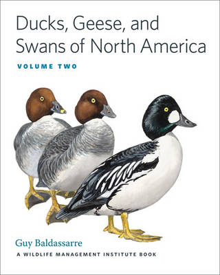 Ducks, Geese, and Swans of North America - Baldassarre, Guy