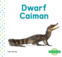 Dwarf Caiman