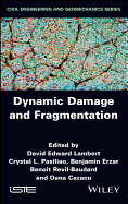 Dynamic Damage and Fragmentation
