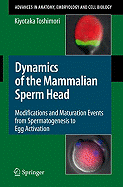 Dynamics of the Mammalian Sperm Head: Modifications and Maturation Events from Spermatogenesis to Egg Activation