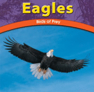 Eagles: Birds of Prey