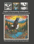 Eagles in Enchanting Landscape: Adult and Children Big 85 one sided prints Coloring Book