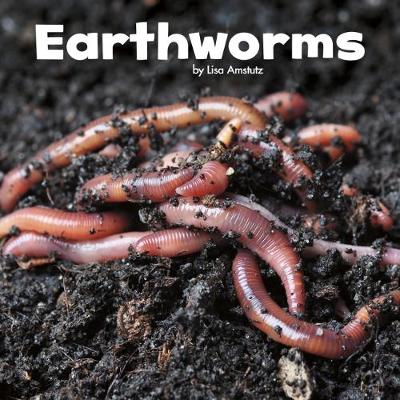 Earthworms - Amstutz, Lisa J.