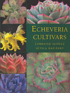 Echeveria Cultivars