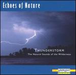 Echoes of Nature: Thunderstorm