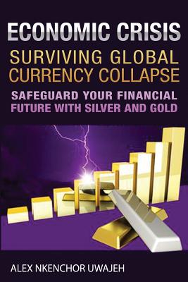 Economic Crisis: Surviving Global Currency Collapse: Safeguard Your Financial Future with Silver and Gold - Uwajeh, Alex Nkenchor