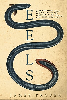 Eels: An Exploration, from New Zealand to the Sargasso, of the World's Most Mysterious Fish - Prosek, James