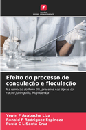 Efeito do processo de coagula??o e flocula??o