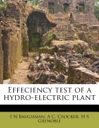 Effeciency Test of a Hydro-Electric Plant