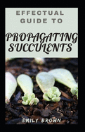 Effectual Guide To Propagating Succulents