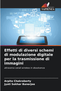 Effetti di diversi schemi di modulazione digitale per la trasmissione di immagini