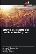 Effetto dello zolfo sul rendimento del grano
