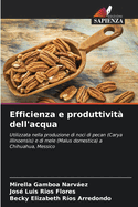 Efficienza e produttivit dell'acqua