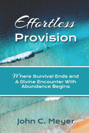 Effortless Provision: Where Survival Ends and A Divine Encounter With Inspiration Begins